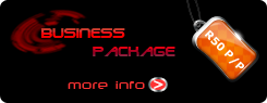 website design business package